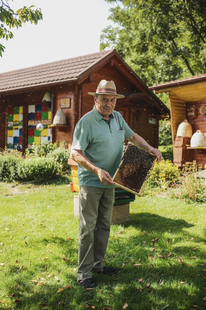 Slovenian beekeper caring for bees