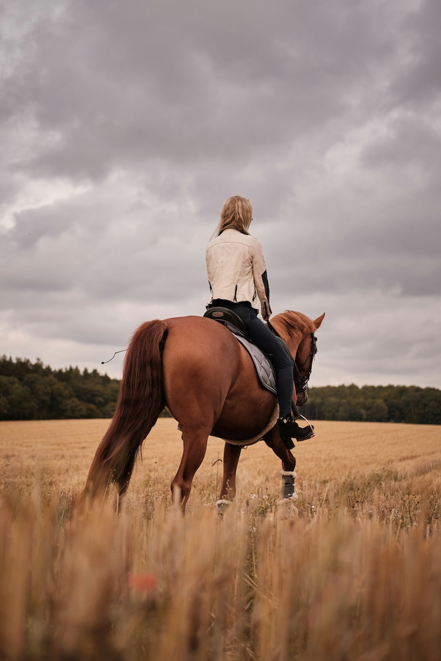 Slovenia horse trail riding