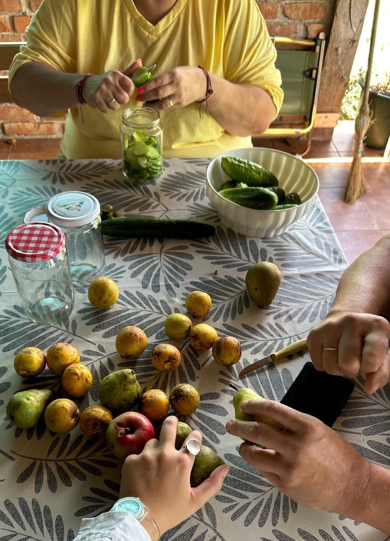 Croatian harvest of fruits