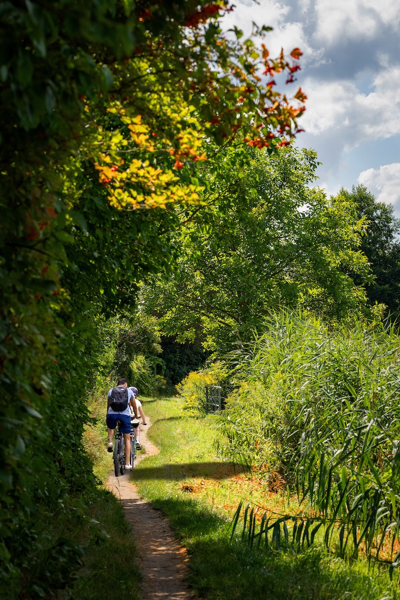 Cycling in Slovenia